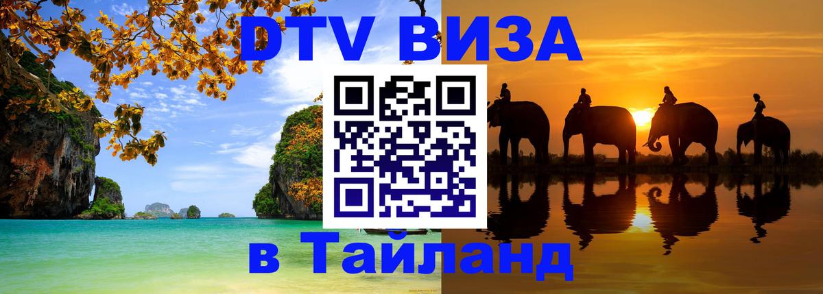 DTV (ДТВ) visa Таиланд Тирана 